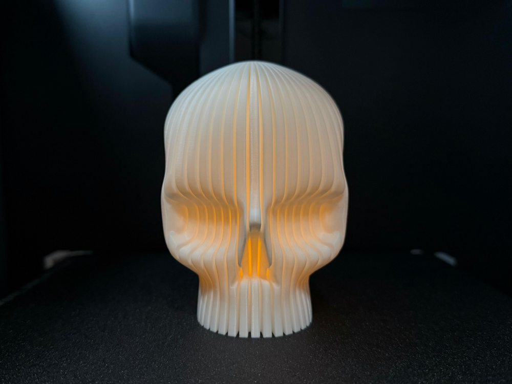 Skull - 3D printed in Canada by UMore3D