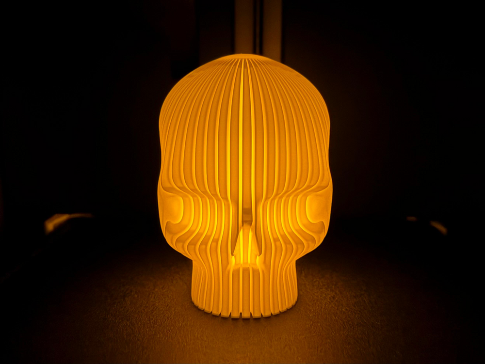 Skull - 3D printed in Canada by UMore3D