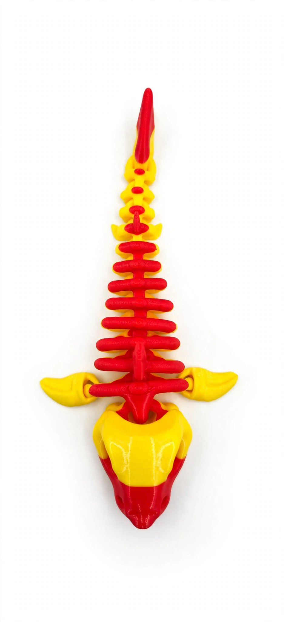 Articulated Shark - top